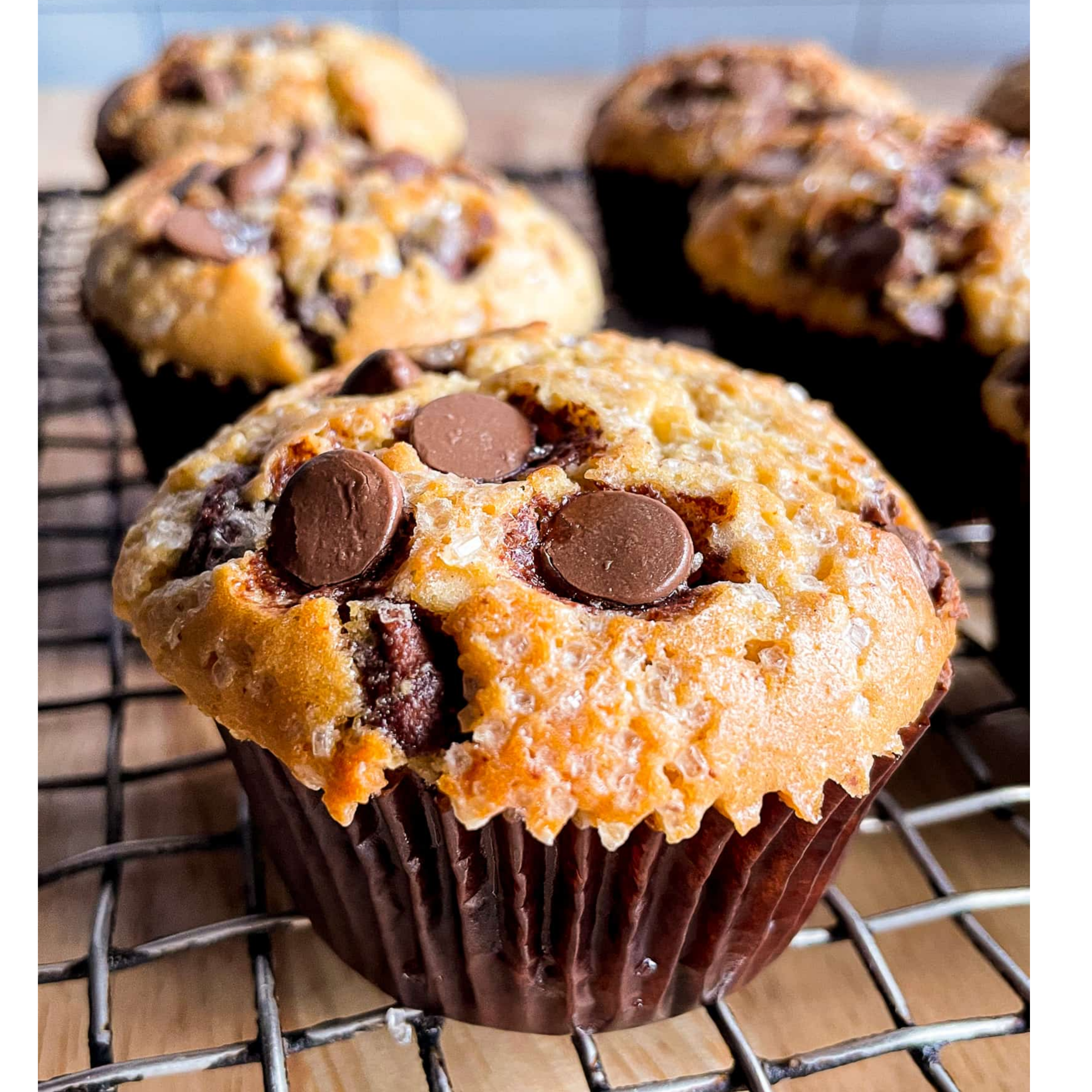 Chocolate Chip  Muffins